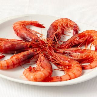 Gamba roja de Denia hervida