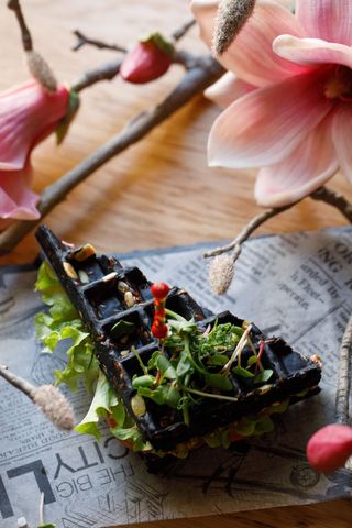 Vegan Black Sandwich 