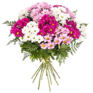 Ramo De Margaritas Variadas