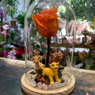 Cúpula con Rosa Eterna Naranja "Rey de la Selva"