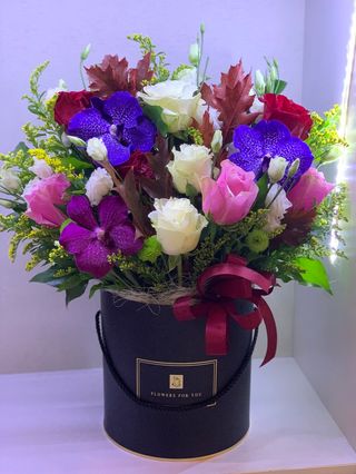 Cutie mixt 38 diverse 