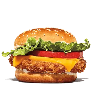 Cheese Crispy Chicken
