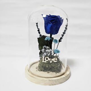 CUPULA ROSA AZUL PRESERVADA