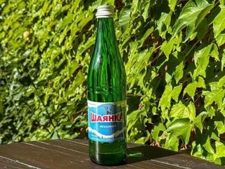 Шаянська (газована/негазована) (500ml)