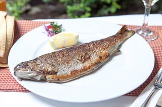 Păstrăv la cuptorcu mamaliguta si mujdei de usturoi