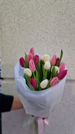 Тюльпан 19 шт