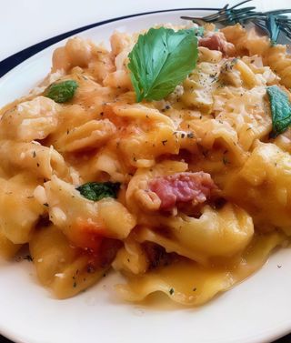 Eccellenza Campana cotta nel forno a legna