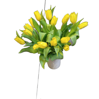 Tulipany