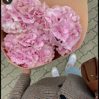 ჰოლანდიური ჰორტენზია 3 ტოტი