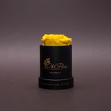 Trandafir criogenat galben în mini-cutie neagră