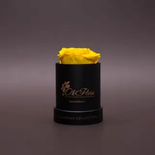 Trandafir criogenat galben în mini-cutie neagră