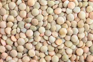 Lenteja Castellana (Peso Aprox 500 Grs)