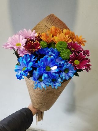 ჰოლანდიური ფერადი ქრიზანთემები , 