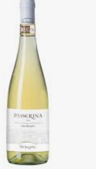 Passerina