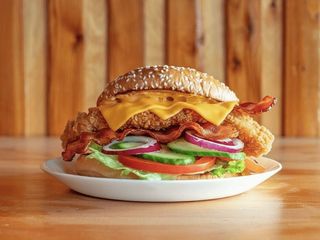 Burger Chedar Chicken