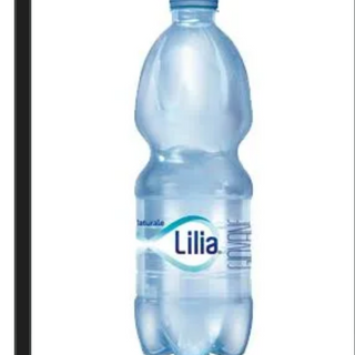 Acqua naturale 33 cl