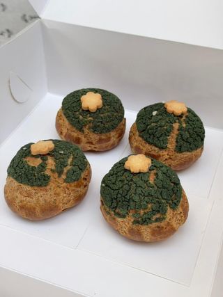 4 ფსტის შუ 