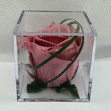 Cubo con rosa ETERNA CHERRY