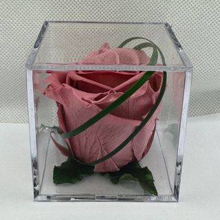 Cubo con rosa ETERNA CHERRY