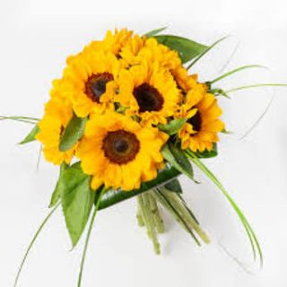 Girasoli mazzo - 5 pezzi