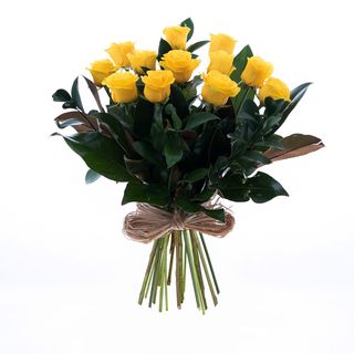 Docena Rosas Amarillas