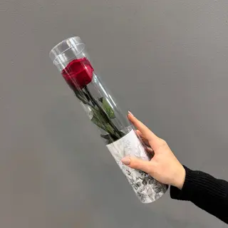 Una rosa corta ( roja ) preservada  