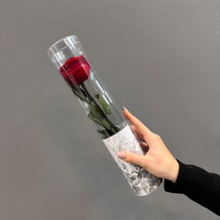 Una rosa corta ( roja ) preservada  