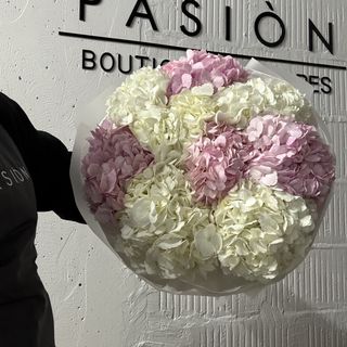 9 Колумбійських гортензій