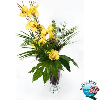 Ramo di orchidea cymbidium