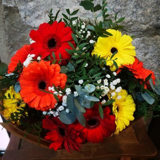 Ramo Gerberas multicolor