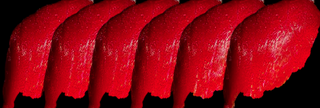 Nigiri De Atún (6 Pzs.)