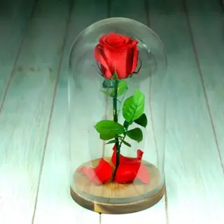 Cúpula con una rosa