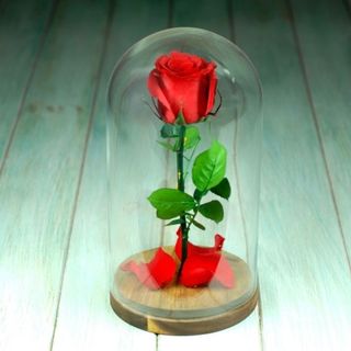 Cúpula con una rosa