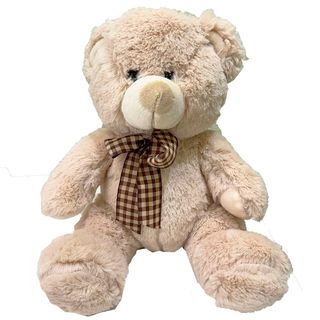 Oso De Peluche Carlitos