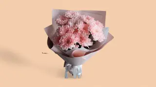 ჰოლანდიური ქრიზანთემები