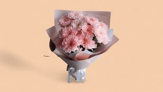 ჰოლანდიური ქრიზანთემები