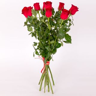 Róża czerwona (80cm 9szt)