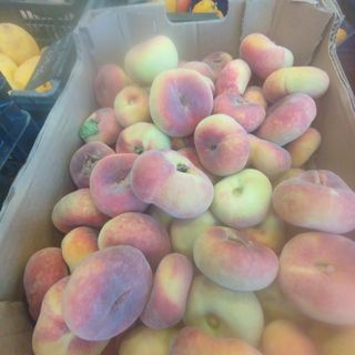 Paraguayo lleida 1kg