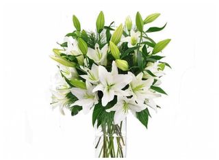 9 Лилиума, бели | 1 pieces