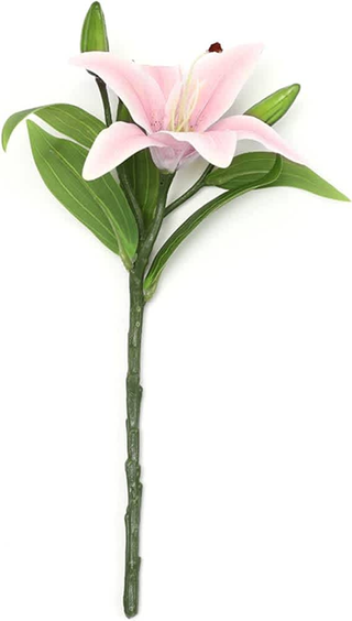 Giglio rosa singolo