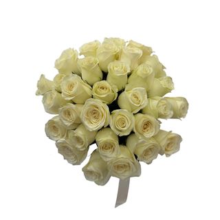 Cos 51 Trandafiri Albi