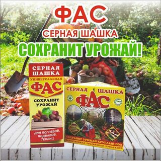 Серная шашка