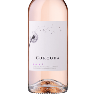Corcova Rose