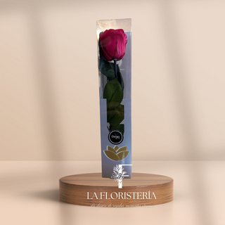 Rosa Eterna (27cm)