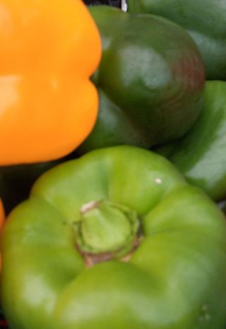 Pimiento California verde ecologiecológico co