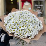 ძალიან დიდი კონას სიყვარული