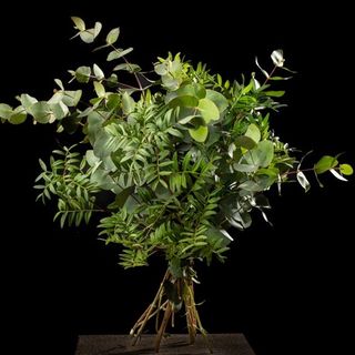 Ramo aromático médium 