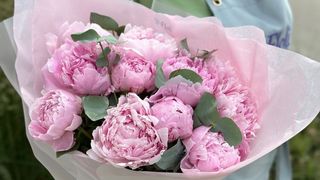 Bukiet Peonii - 11 szt + Eukaliptus