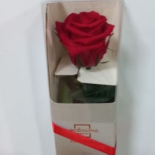 rosa roja eterna pequeña