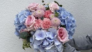 Bukiet Dream - Hortensja, Róża, Goździki